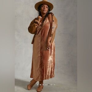 Anthropologie Lucie Embroidered Velvet Slip Dress